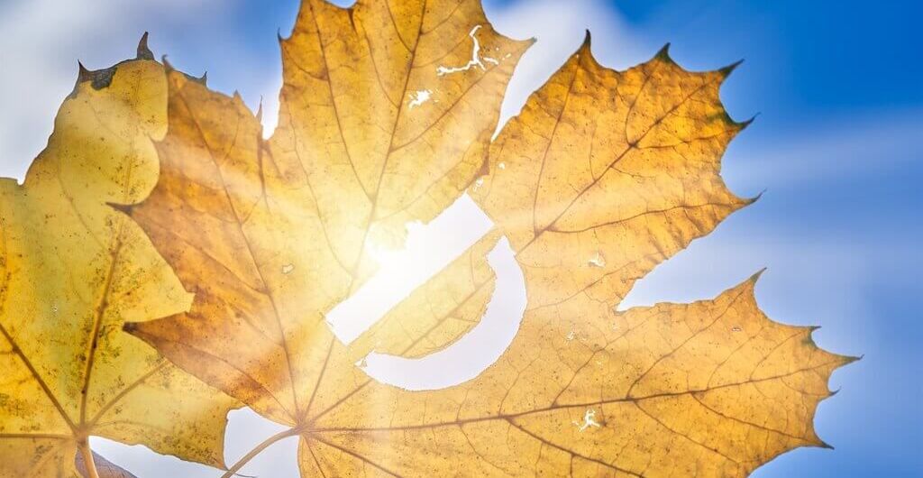 Groźny niedobór witaminy D